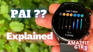 What Is PAI? Personal Activity Index On Amazfit GTR3 PRO Smartwatches Explained