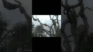 ВЕСЕЛАЯ плоть в Сталкер Тень Чернобыля 