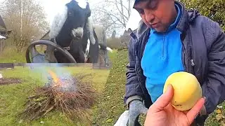 ЖИВЁМ В ДЕРЕВНЕ/КАЖДЫЙ ДЕНЬ СУББОТНИК😊