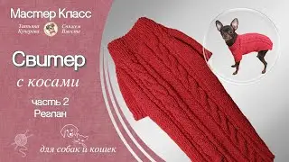 Свитер с косами спицами, часть 2, Реглан, Dog sweater, Raglan