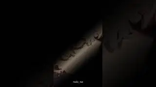 Братья Кавата | 
