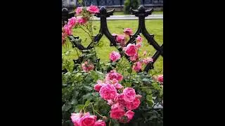 Россия.Московская область.Усадьба Марфино.