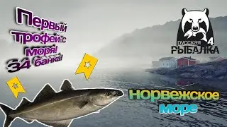 РУССКАЯ РЫБАЛКА 4 | ПЕРВЫЙ ТРОФЕЙ С МОРЯ | 34 БАНКА