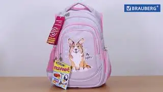 Рюкзак для девочки BRAUBERG SPECIAL, "Corgy dog"