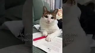 Когда семейная пара полностью синхронизировалась