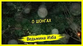 О ШОНГАХ. ВЕДЬМИНА ИЗБА ▶️ ИНГА ХОСРОЕВА