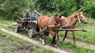 The Secret To A Happy Life In The Mountains