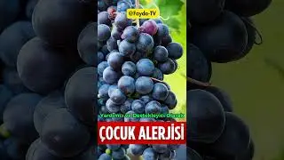Çocuklarda Alerjiye Ne İyi Gelir ❓👍 #ibrahimsaraçoğlu #faydatv #şifalıbitkiler #alerji