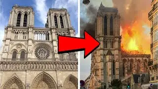 Things You Didn't Know About Notre-Dame