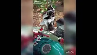 kumpulan tik tok vixionjarijari