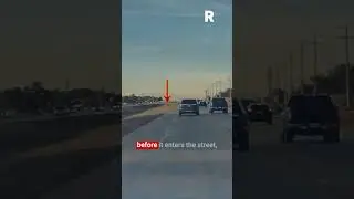 DOG CAUSE CAR CRASH