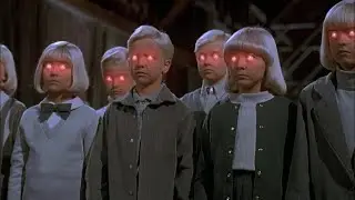 Дельфин - без нас (гадкие утята)