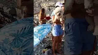 Дикий пляж «Сосновка» окружённый скалами