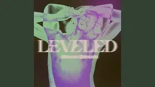 Leveled (Radio Edit)
