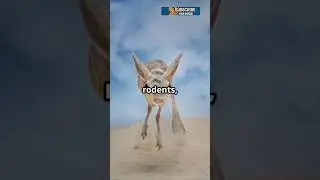 This Mouse-Kangaroo Hybrid is REAL?! 😳 | Gobi Jerboa Facts 