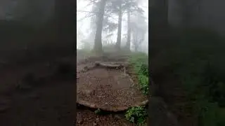 Eco Park Dhanaulti Mussoorie 