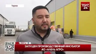 ЗАПУЩЕН ПРОИЗВОДСТВЕННЫЙ ИНКУБАТОР АО «АЛЕЛЬ АГРО»