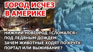 Город пропал в Америке. В США туман стер Майами. Зачем животные ходят по кругу? Портал или выживание