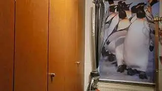 Foto-Rollo: ein bedrucktes Foto-Rollo mit Foto, Logo oder Motiv Ihrer Wahl auf einem Rollo mit Foto