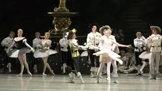 14/03/20 Lauren Cuthbertson Rose Adagio