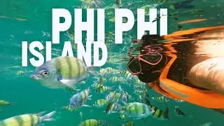 PHI PHI Island's BEST KEPT SECRET for SNORKELING and DIVING | Forum Shah