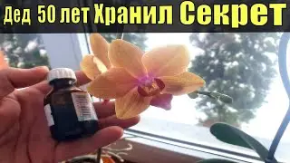Я Обалдел! 1 КАПЛЯ ПОД ВСЕ ЦВЕТЫ В ДОМЕ! ЦВЕТУТ ВОЛШЕБНО, РАСТУТ БЫСТРО! ЛУЧШЕЕ ДЛЯ ДОМАШНИХ ЦВЕТОВ