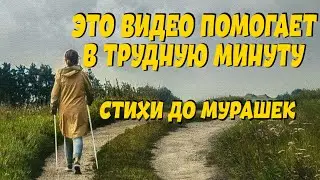 Очень душевный и сильный стих 