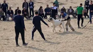 поле Елкен 1ый Тур Туркменбашы!