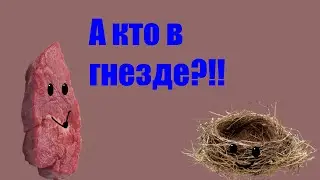 Гнезда из кабачков!!!
