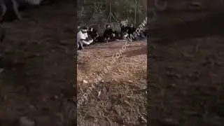 Жестокие пытки ЦАХАЛ над пленными Хамас. 8 часов они это слушали.