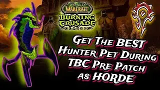 How to get the BEST Hunter Pet in TBC Before 60 - Getting to Azuremyst & Bloodmyst Isle as HORDE