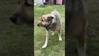 Три месяца прошло без опухоли мозжечка