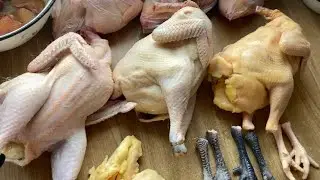 Породы кур Мини мясные палевые и Бресс Гальцы+ помесь двух пород//Купить домашних кур