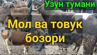 Узун тумани МОЛ ва ТОВУК бозори 