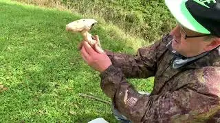 Хмурый воскресный день