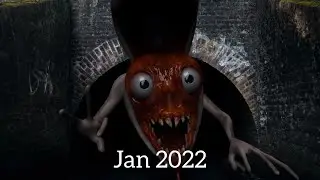 Evolution of Bridge Worm