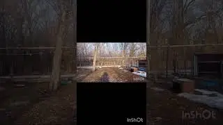Жена в деревне. Муж на курорте. Новости дня