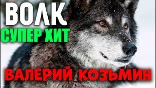 ШИКАРНАЯ ПЕСНЯ - СЛУШАТЬ ВСЕМ! ВОЛК!