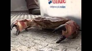 Рыбалка в Норвежских фьордах.