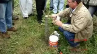 PRACTICA CURSO DE INJERTOS PARTE 1