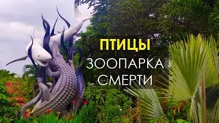 Редкие виды птицы зоопарка смерти Сурабая. Путешествие на остров Ява в Индонезию. Чем удивит Ява?