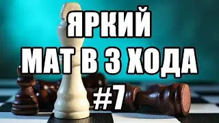 Шахматные задачи мат в 3 хода. Выпуск №7. Шахматы задачи. Мат в три хода решение задач