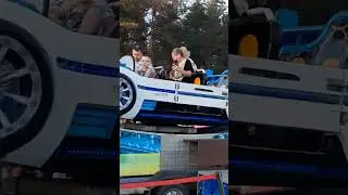 Земные радости