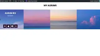 How to Place a DiviMenu on a Fullwidth Portfolio