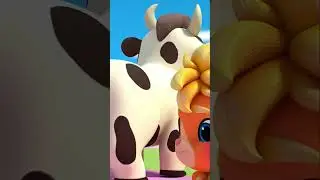 Lola the Cow 🐮 A cow called Lola