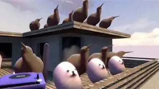 eggdog meets kiwi 🥝
