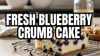 Blueberry Crumb Cake: Easy 9x13 Pan Recipe For Summer!