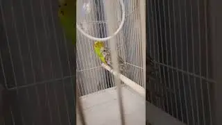 Гриша и Даша после бани !
