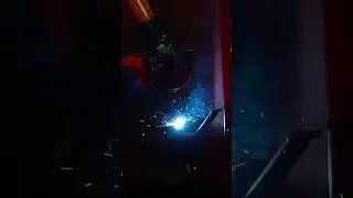 Бенгальские огни политеха 💫 