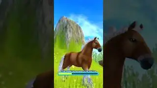 Goodbye Whinfells.. Star Stable